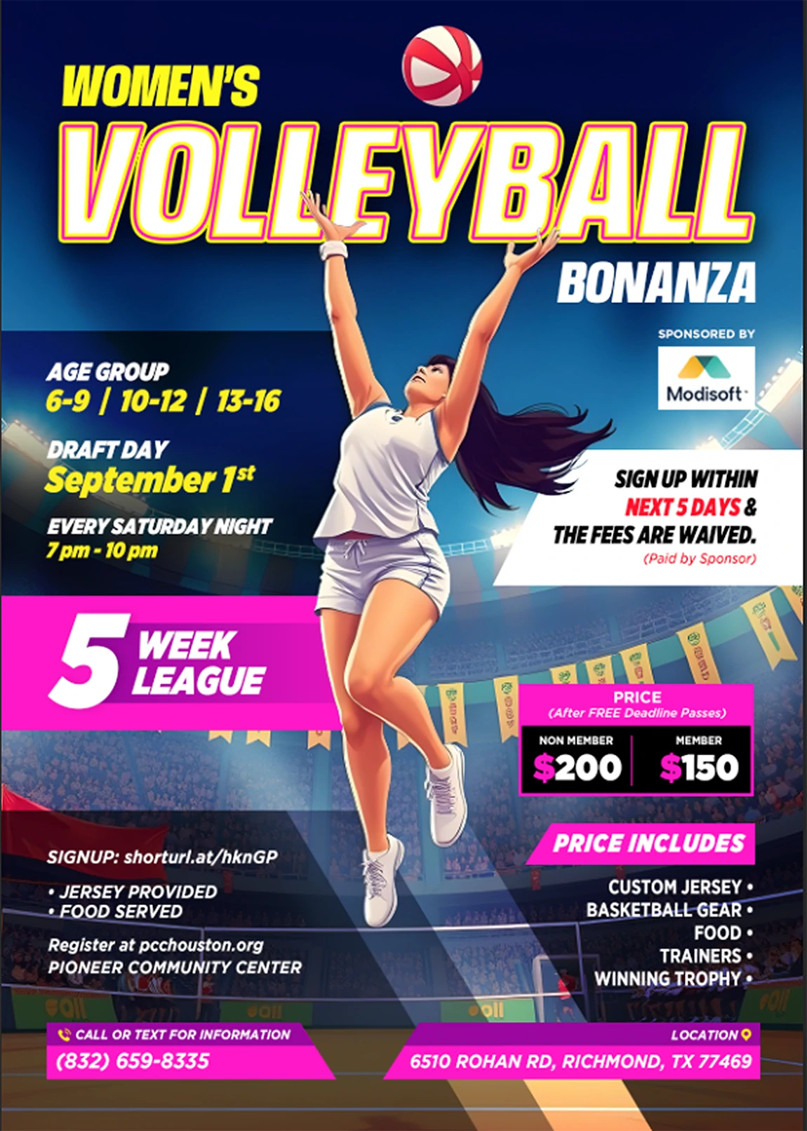 Volleyball Bonanza